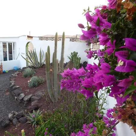 Casita De Gato 度假居 *